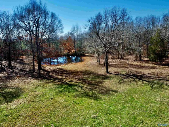 276 Mint Springs Rd, New Market, AL 35761