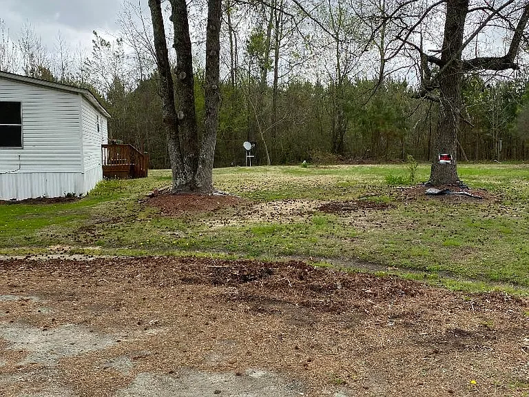 Back yard