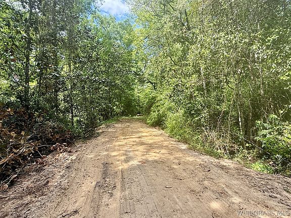 3rd image of County Road 16