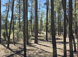 2242 Wapiti Cir, Overgaard, AZ 85933