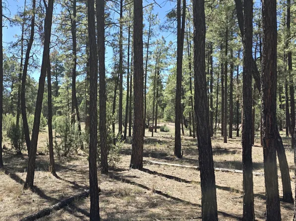 2242 Wapiti Cir, Overgaard, AZ 85933