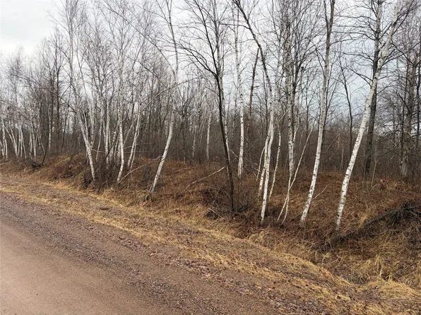 ON Sheep Camp Road, Ladysmith, WI 54848