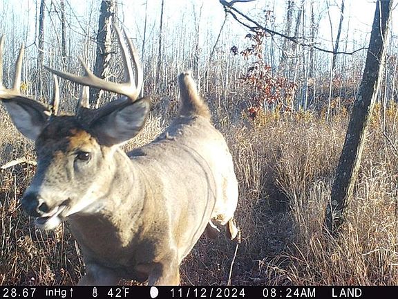 2nd image of 1581 50th Street