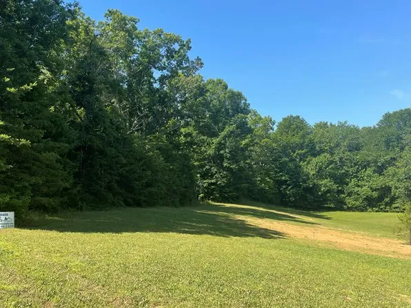 0 Highland Gap, Mineral Bluff, GA 30559