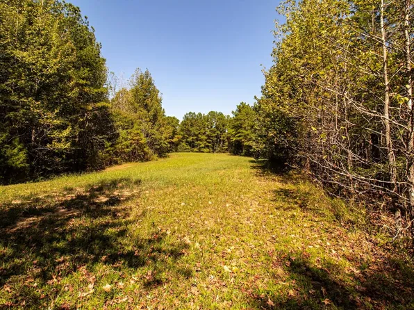 Highway 125 N, Toone, TN 38381