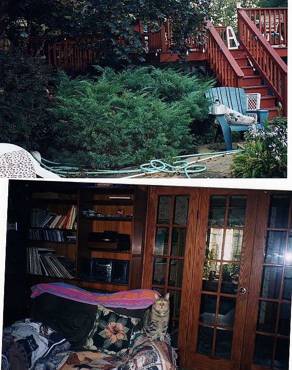 deck/living room
