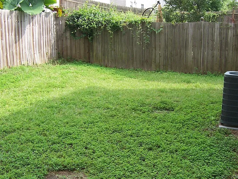 1462 Nena Hills Ct — Photo 16