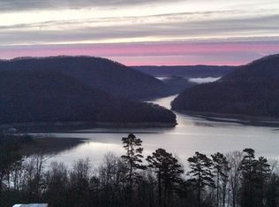 1119 Smokey Quartz Blvd, New Tazewell, TN 37825