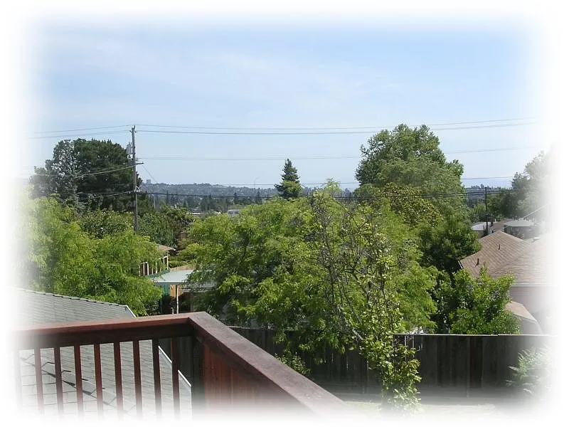 4387 Moreland Dr photo 1