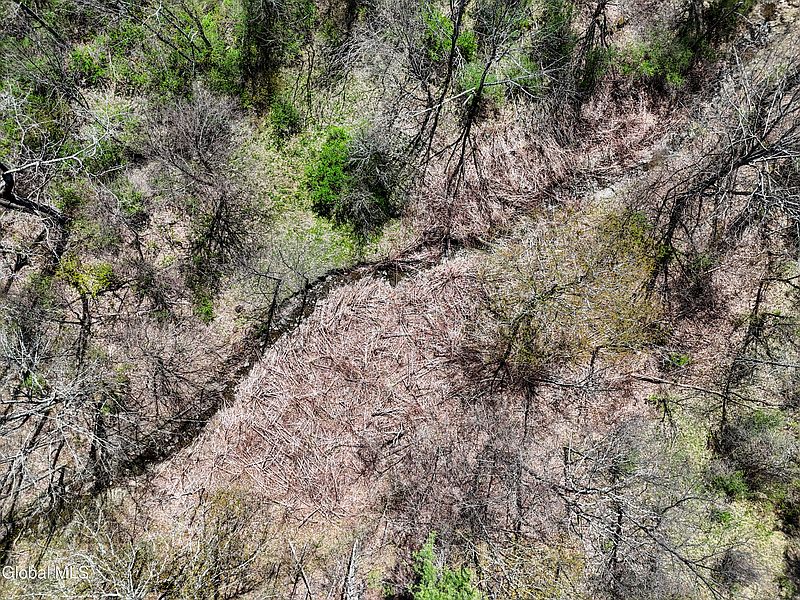 5th image of L19 Mary Taylor Road