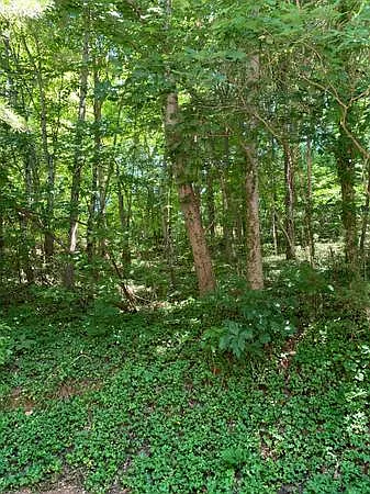 249 Sunset View Dr — Photo 10