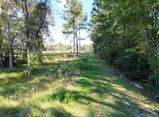 17752 NE Arnold Kelly Rd, Hosford, FL 32334