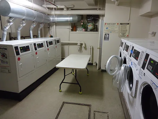 Rented by The Coop Connection LLC | media 12