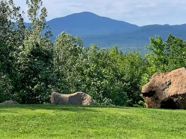 10 Tory Hill Road, Phillips, ME 04966