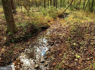 Dillons Run Rd, Capon Bridge, WV 26711