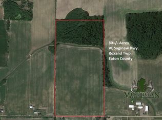 W Saginaw Hwy, Mulliken, MI 48861