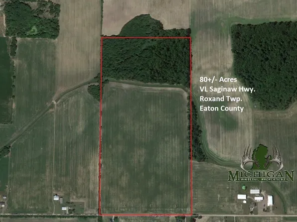 W Saginaw Hwy, Mulliken, MI 48861
