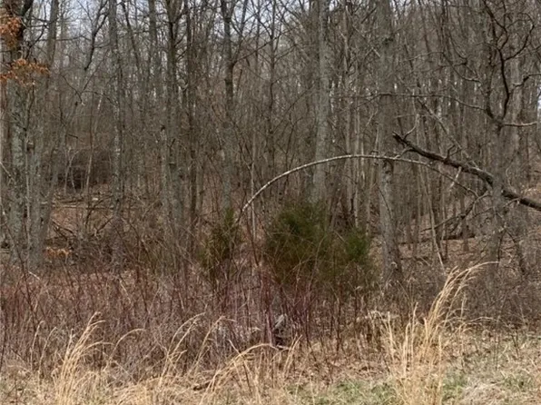 (undisclosed Address), West Union, OH 45693