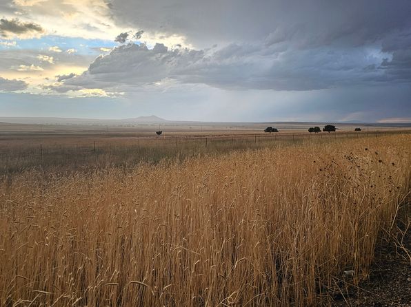 2835 N Cedar Mountain Rd, Fillmore, UT 84631