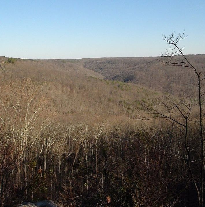 2nd image of 7 Blowing Cave Rd