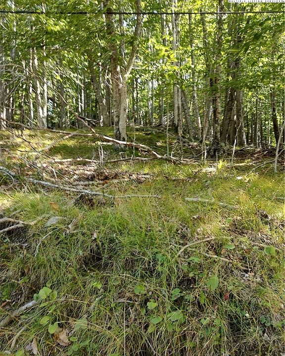 2nd image of 115 Locust Ridge Road