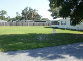 11541 Marvell Way, Leesburg, FL 34788