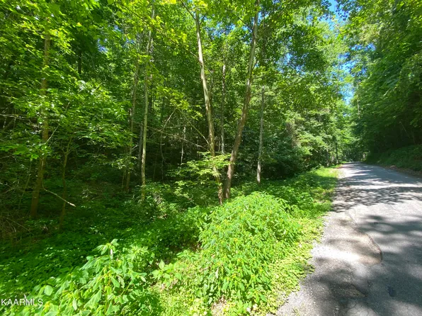 McNerling Ln, Sharps Chapel, TN 37866