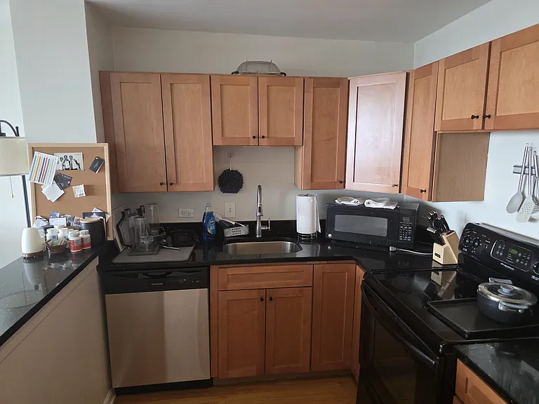 1636 N Wells St #3004 — Photo 4