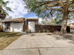 10312 Green Grove Pl, Tampa, FL 33624