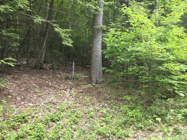 12-10 Boulder Drive, Campton, NH 03223