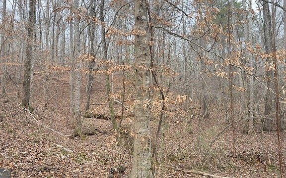 5th image of N Helton Rd #2