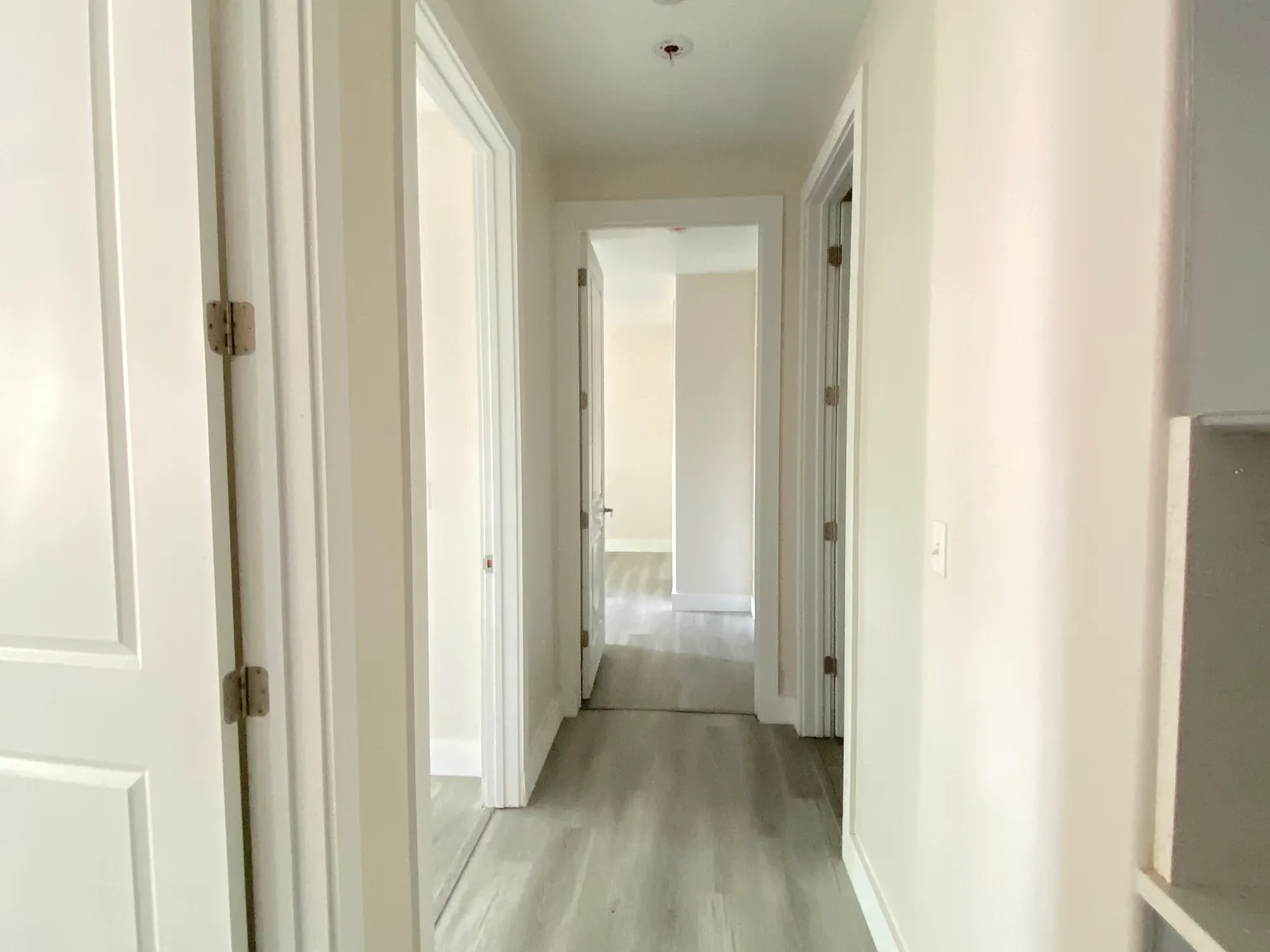 3 bed, 1250 sqft, $3,150 — Photo 4