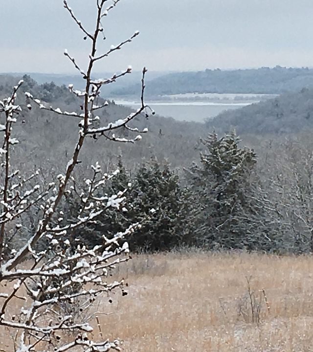 View from back decks