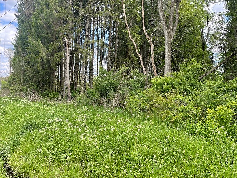 2nd image of Mercer Rd
