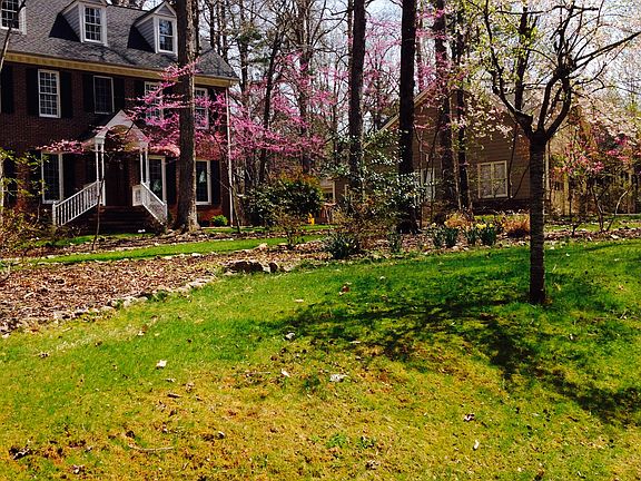 Red Buds, Weeping Cherry Apr