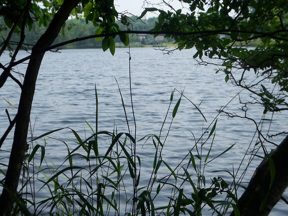 1st image of Lakeview Dr