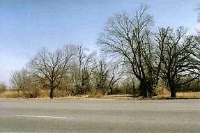 2nd image of 2715 N Range Line Rd