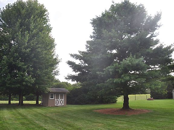 Shed also  has 2 windows 