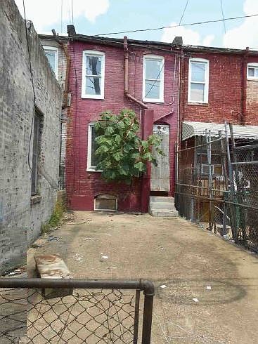 2nd image of 2045 Eagle St