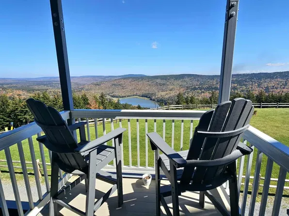 154 Mountain Lodge Ln, Snowshoe, WV 26209
