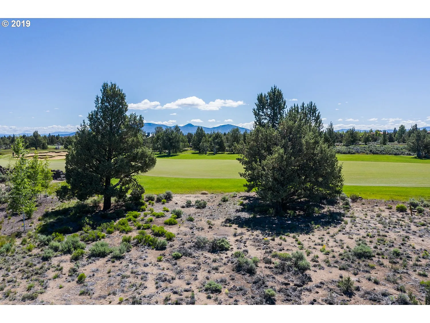 65952 Rimrock Ct photo 1