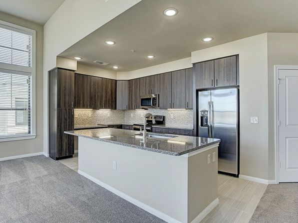 27222 Fulshear Bend Dr APT 1346