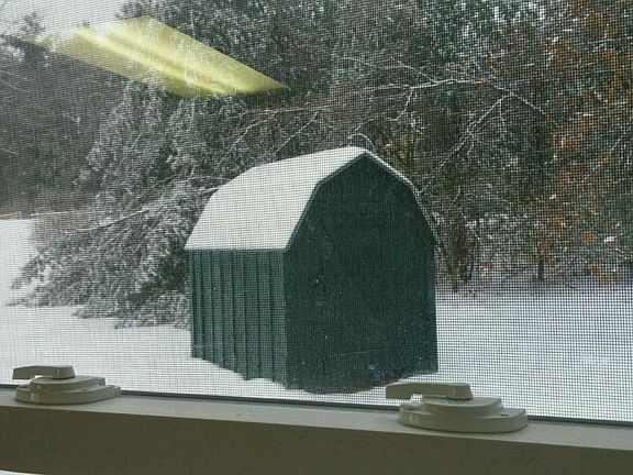 Shed for storage