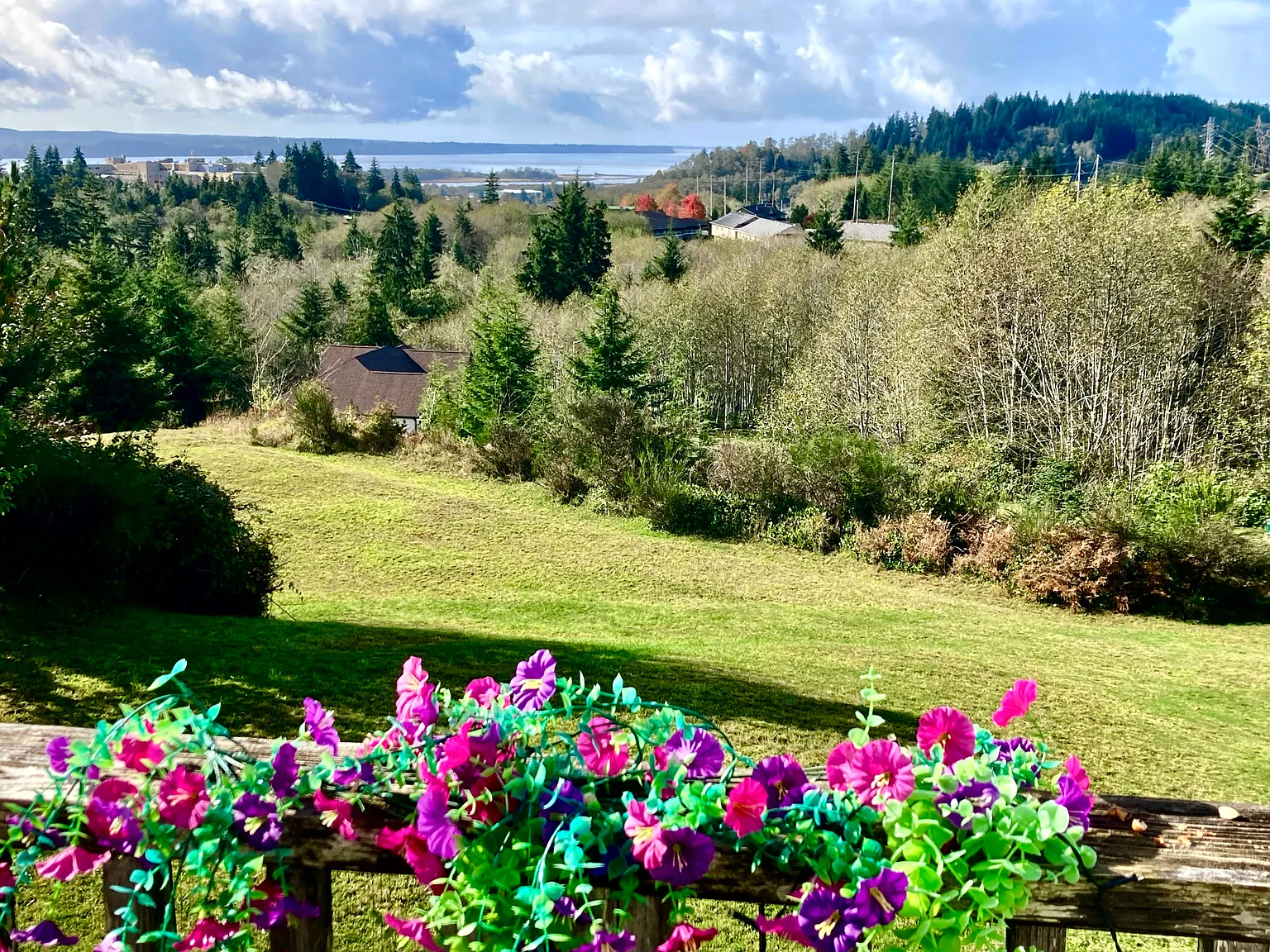 Drakes Pointe Ln, Aberdeen — Photo 4