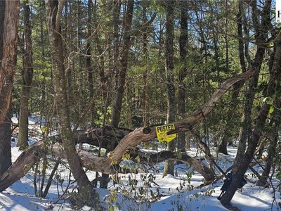 TBD Little Creek Road, Sparta, NC, 28675