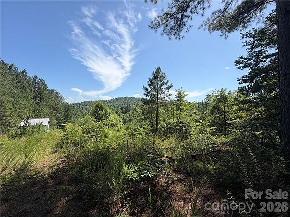 4th image of 590 Gold Creek Point
