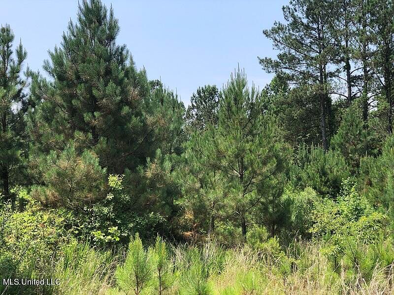 Dodd Rd, Sallis, MS 39160 MLS 4050231 Zillow