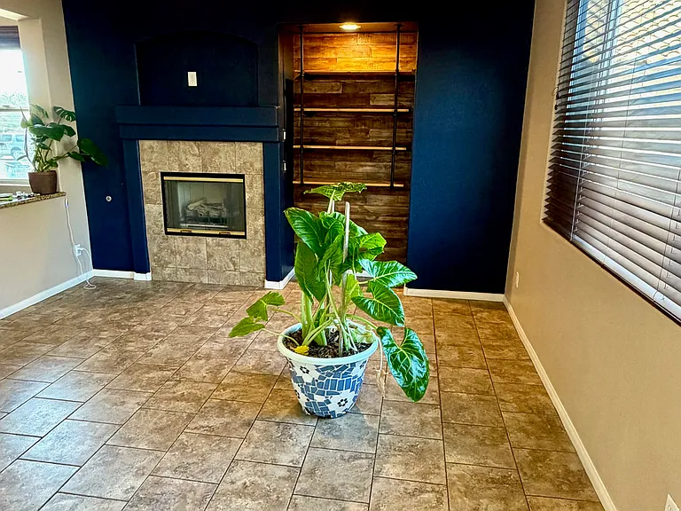 3936 Gold Point St — Photo 12