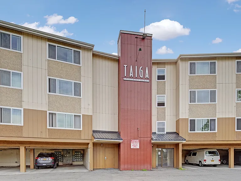 Taiga — Photo 16