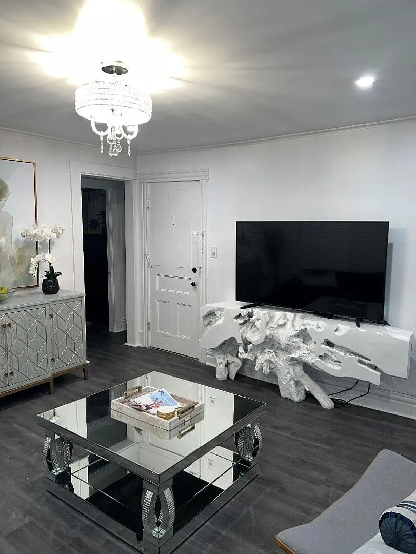 Luxury 1br/1ba Furnished | Parking, Laundry, Utilities Included — Photo 4